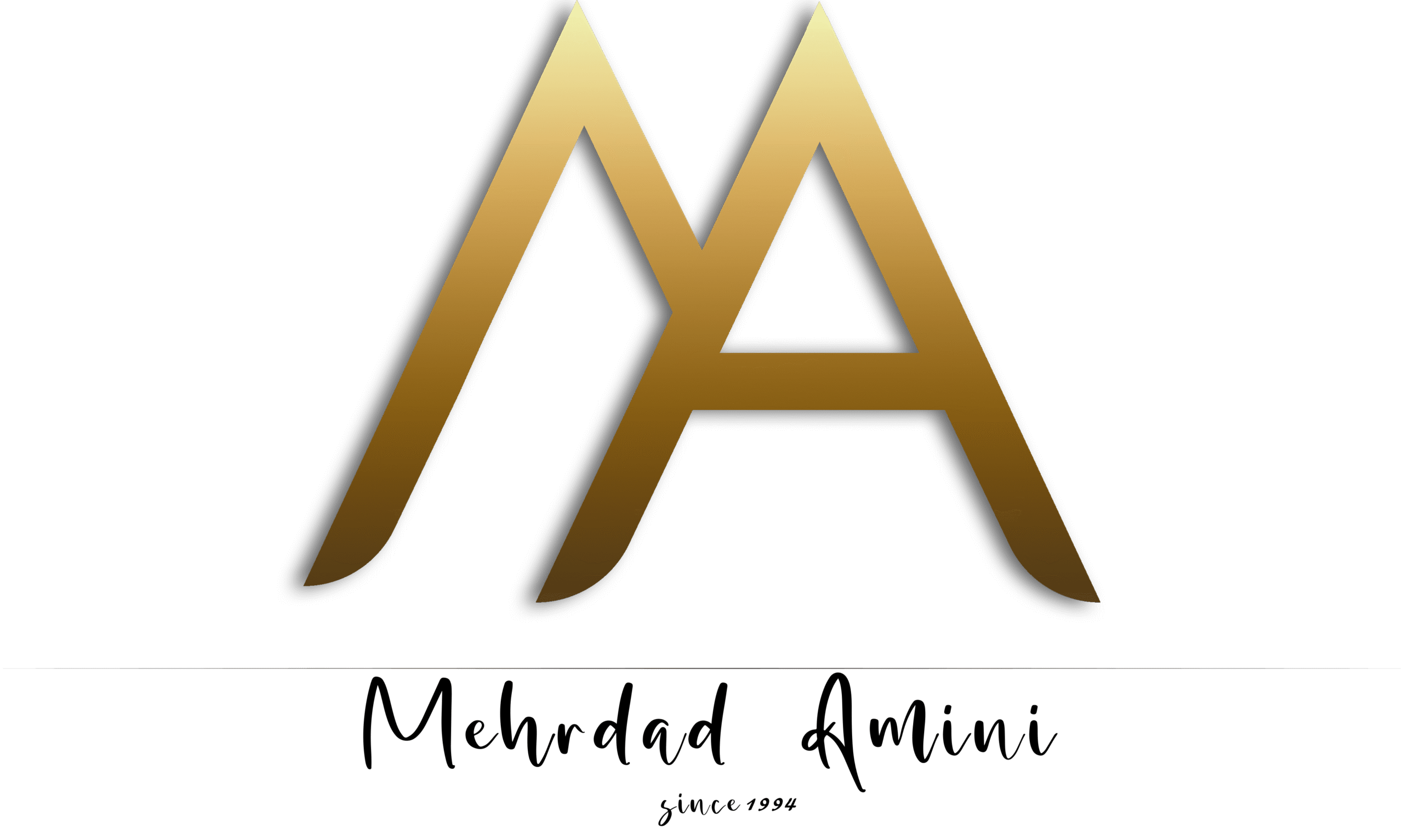 mehrdad amini logo shadow